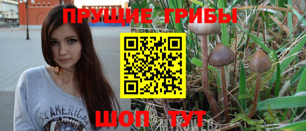 Старая Купавна  Галлюциногенные грибы GOLDEN TEACHER  Вход с VPN 