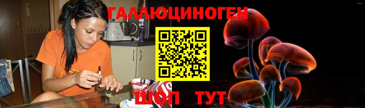 Псилоцибиновые грибы MAGIC MUSHROOMS Старая Купавна